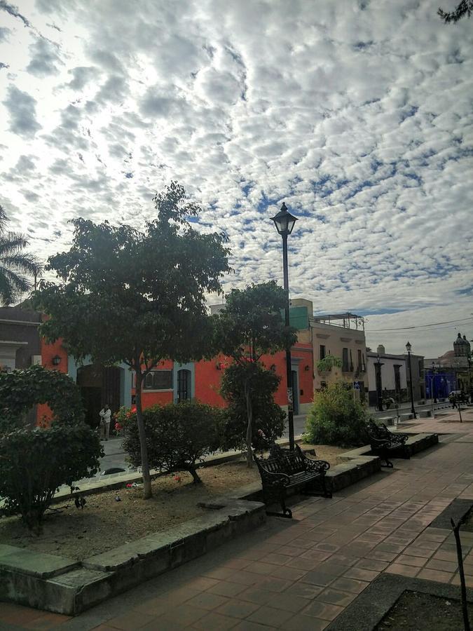 Suites Parador Santo Domingo De G. Oaxaca Dış mekan fotoğraf