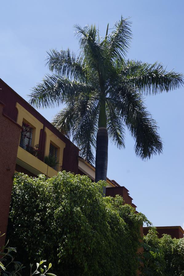 Suites Parador Santo Domingo De G. Oaxaca Dış mekan fotoğraf