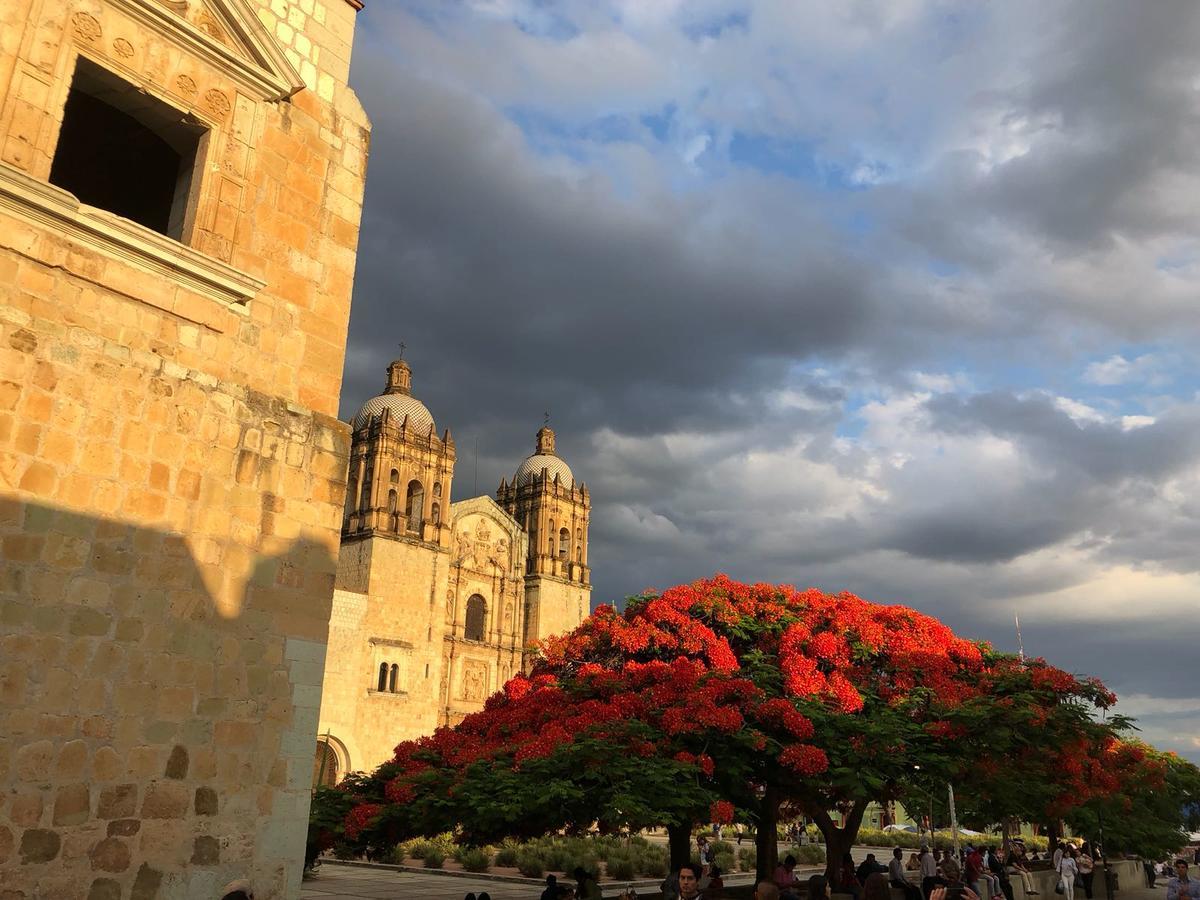 Suites Parador Santo Domingo De G. Oaxaca Dış mekan fotoğraf